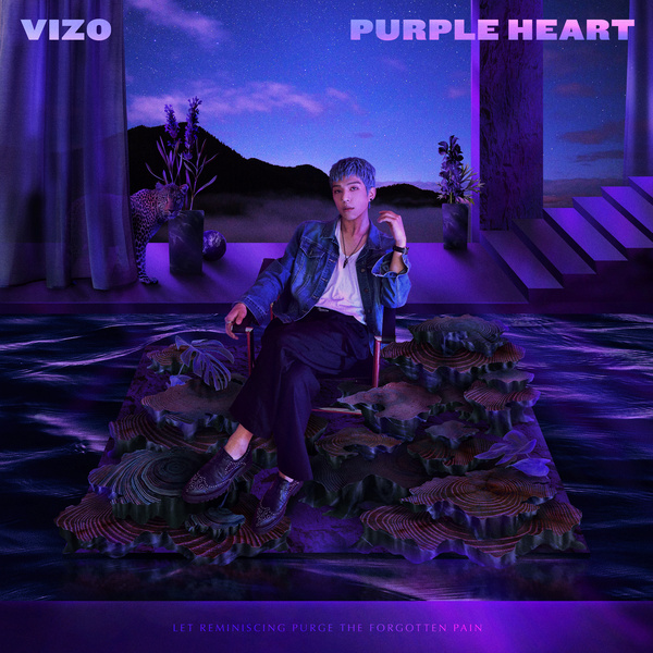 VIZO - Copycat Cover