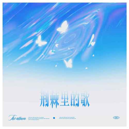 蓝心羽 (Lan Xin Yu) - 荆棘里的歌 Cover