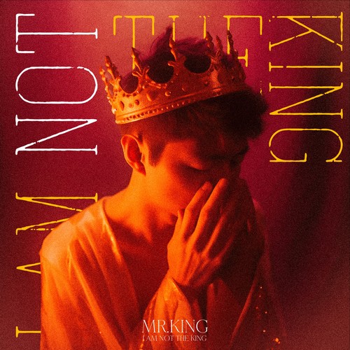 MR.KING - 我不是国王 Cover