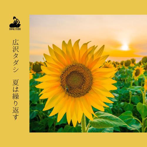 Tadashi Hirosawa - 夏は繰り返す (Summer Again and Again) Cover