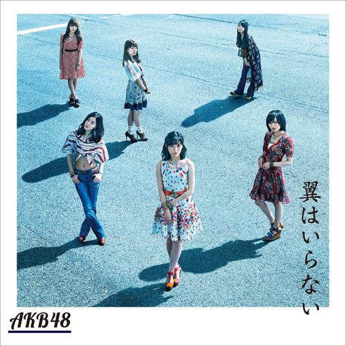 AKB48 - 夢へのルート (Yume e no Route) (Team 8) Cover