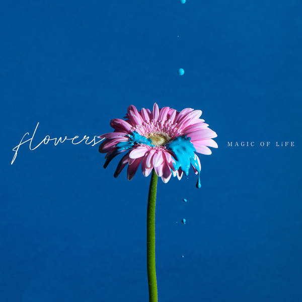 MAGIC OF LiFE - Flowers song Cover