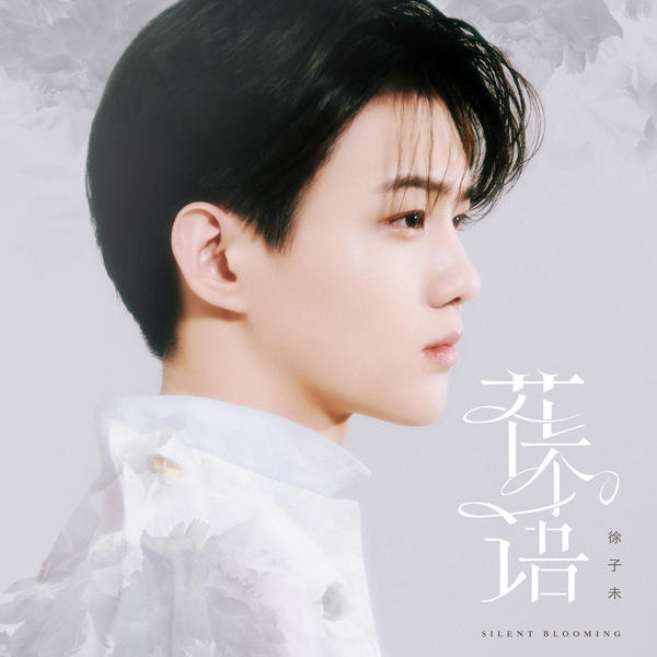 徐子未 (Xu Ziwei) - 花不语 Cover