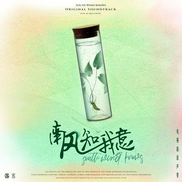 Liu Yuning - 遥远的相似 Cover