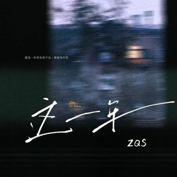 ZQS - 这一年 Cover