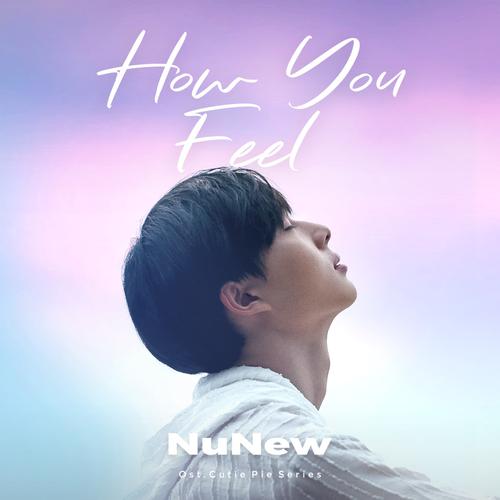 NuNew - How You Feel (OST Cutie Pie The Series) Cover