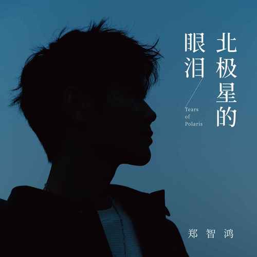 郑智鸿 (Zheng Zhihong) - 北极星的眼泪 (Tears of Polaris) Cover