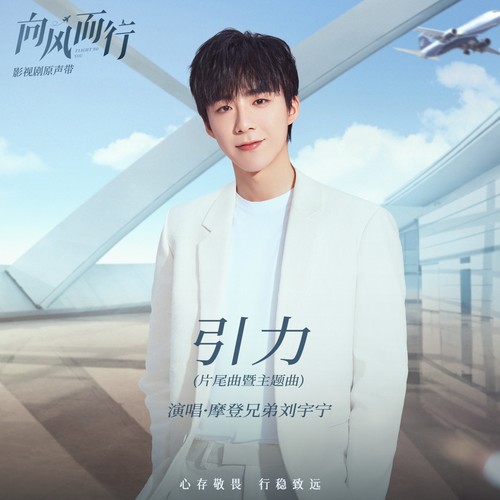 Liu Yuning - 引力 (OST Flight to You) Cover
