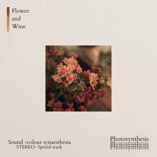 Blackbeans - Flower and Wine (Photosynthesis Version) Cover