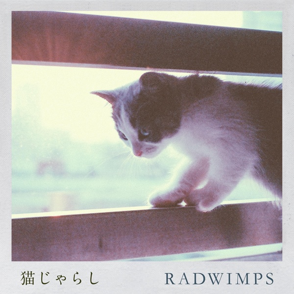 Radwimps - 猫じゃらし (Nekojarashi) (Orchestra Ver.) Cover