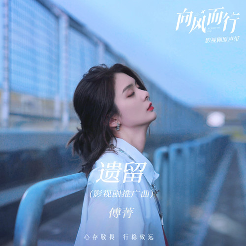 傅菁 (Fu Jing) - 遗留 (OST Flight to You) Cover