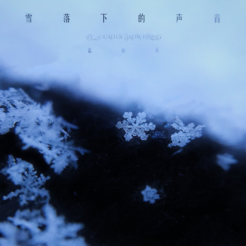 蓝心羽 (Lan Xin Yu) - 雪落下的声音 (The Sound of Snow Falling) Cover