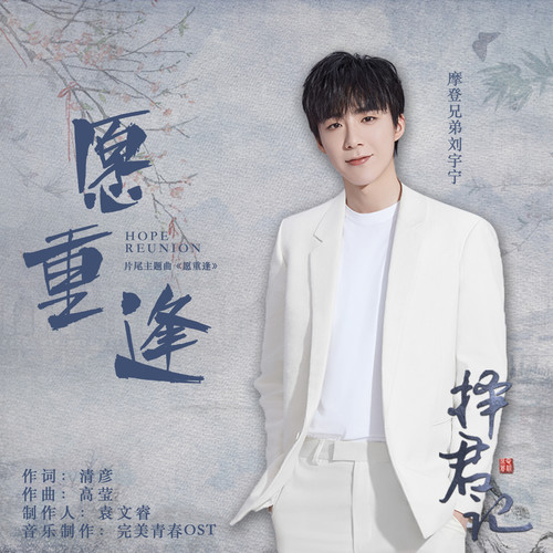 Liu Yuning - 愿重逢 (OST Choice Husband) Cover
