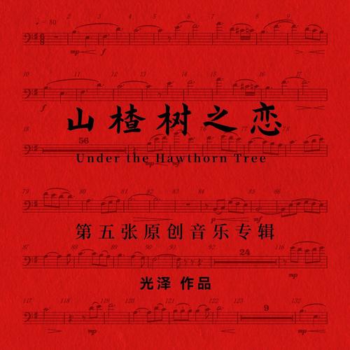 光泽 (Guang Ze) - 山楂树之恋 (Under the Hawthorn Tree) Cover