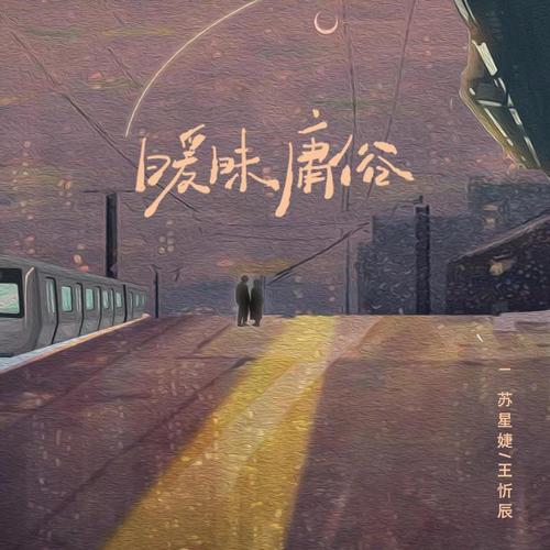 王忻辰 (Wang Xinchen) & 苏星婕 (Su Xing Jie) - 暧昧庸俗 Cover