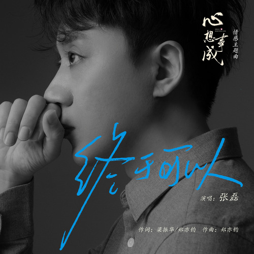 张磊 (Zhang Lei) - 终于可以 (OST Hello Beautiful Life) Cover